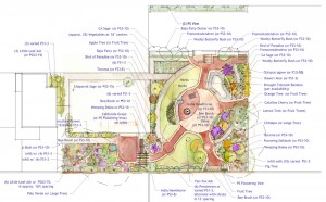 Planting_Plan_watercolorweb